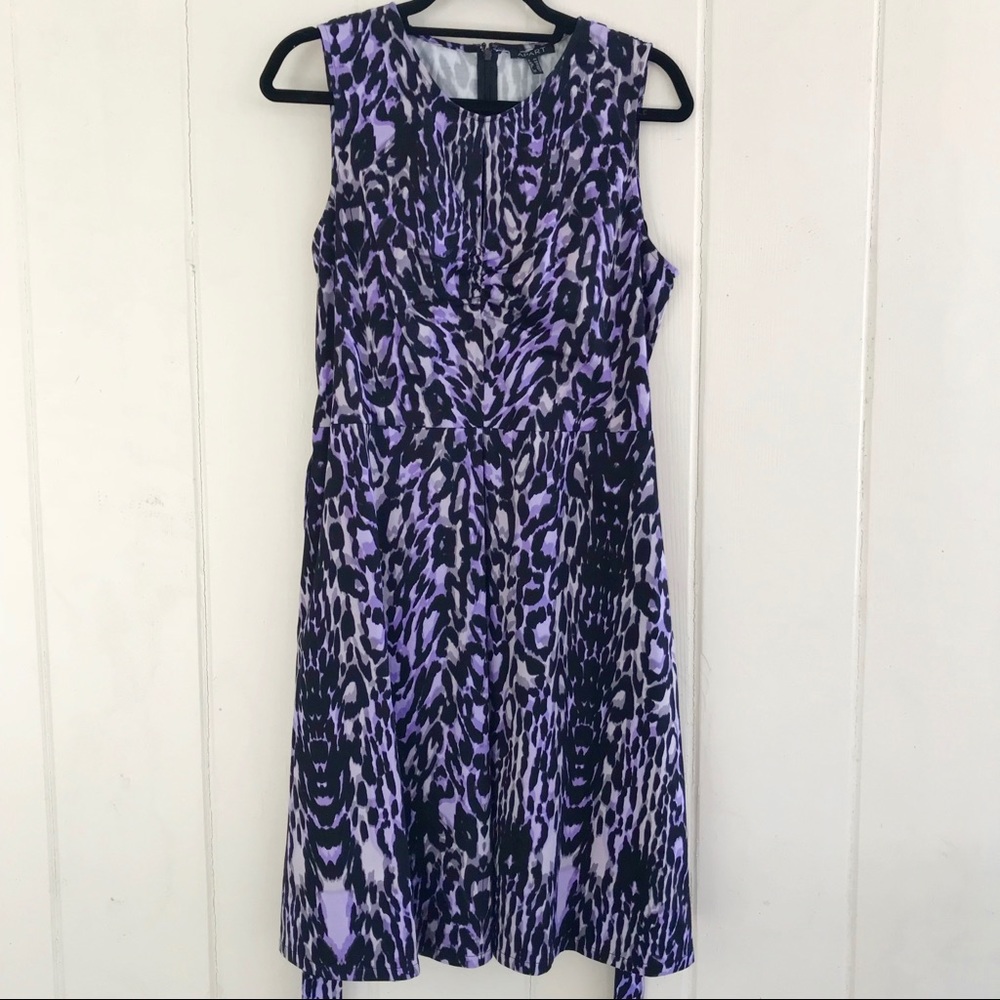 NWT Apart Purple and Black Printed Dress